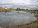 Rio Salado Environmental Restoration, Tempe, AZ